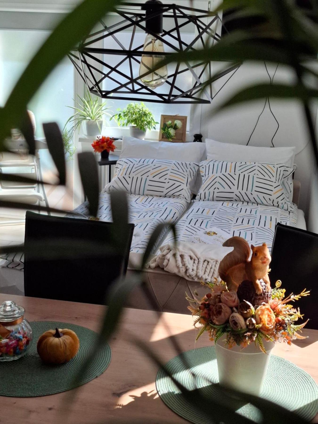 Josephine Apartment ซูโบติกา ภายนอก รูปภาพ